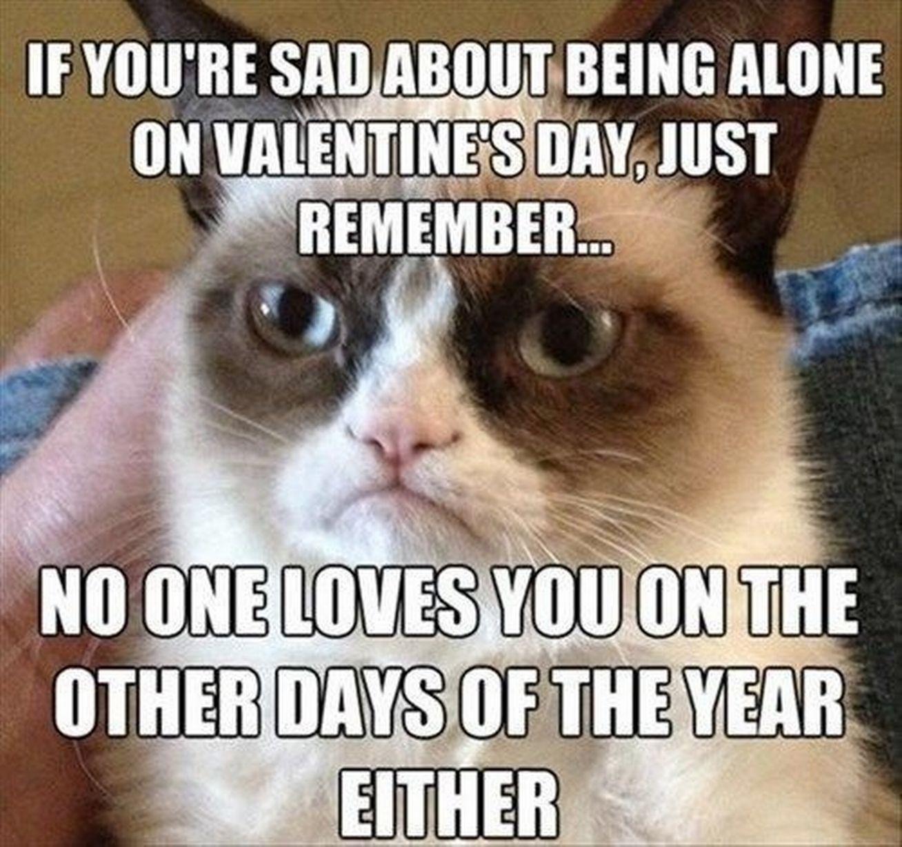 Meme About valentines That Will Make You Laugh valentine's day memes for singles