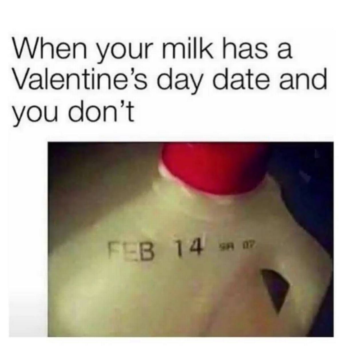 funny meme valentines valentine's day memes for singles