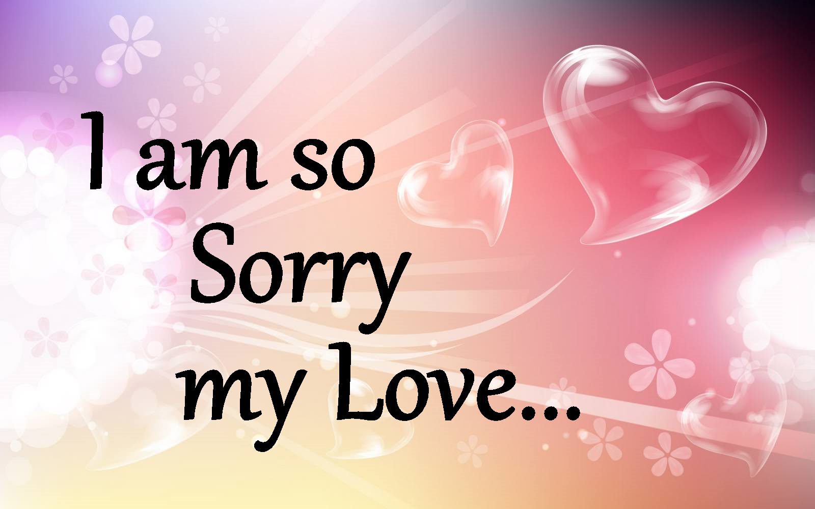 lover sorry images
