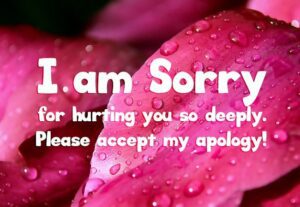 Sorry Status, Quotes and Messages Apologizing to Loved Ones