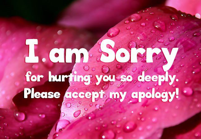 i m sorry sorry quotes for friends sorry messege