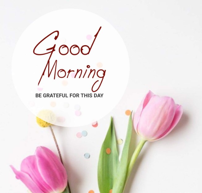 220+ Good Morning Wish, Quotes, Messages to Start Your Day