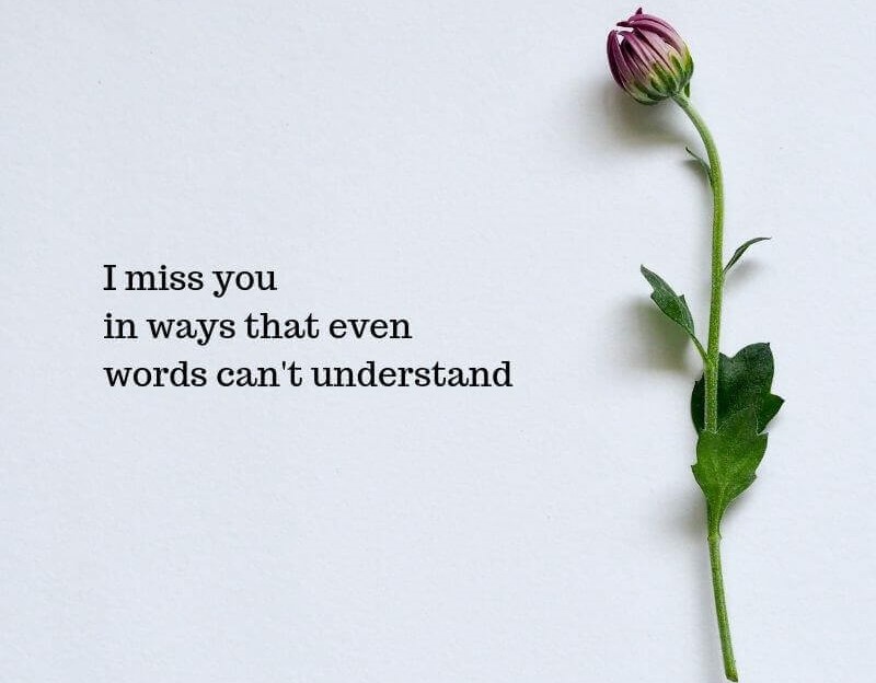 quotes about miss you