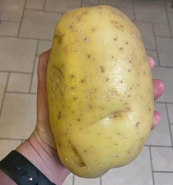 20 times something was so big that we felt like dwarves in its world