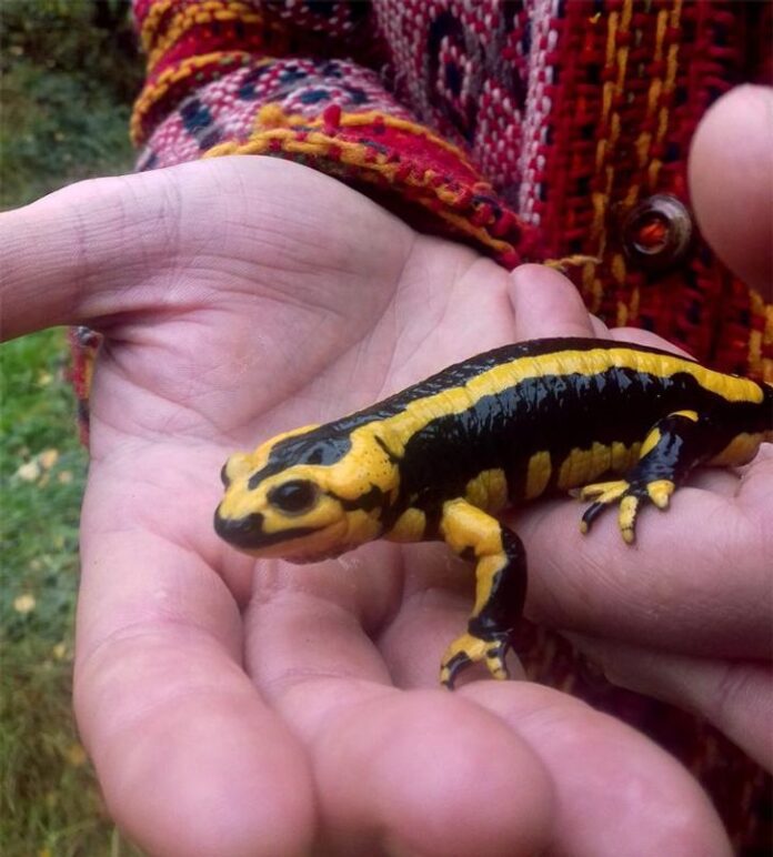 20 times something was so big that we felt like dwarves in its world