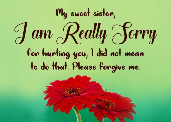 Sorry Sister Quotes Message for Your sister -To Make her Happy