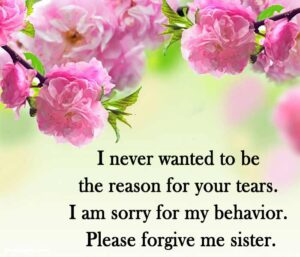 Sorry Sister Quotes Message for Your sister -To Make her Happy