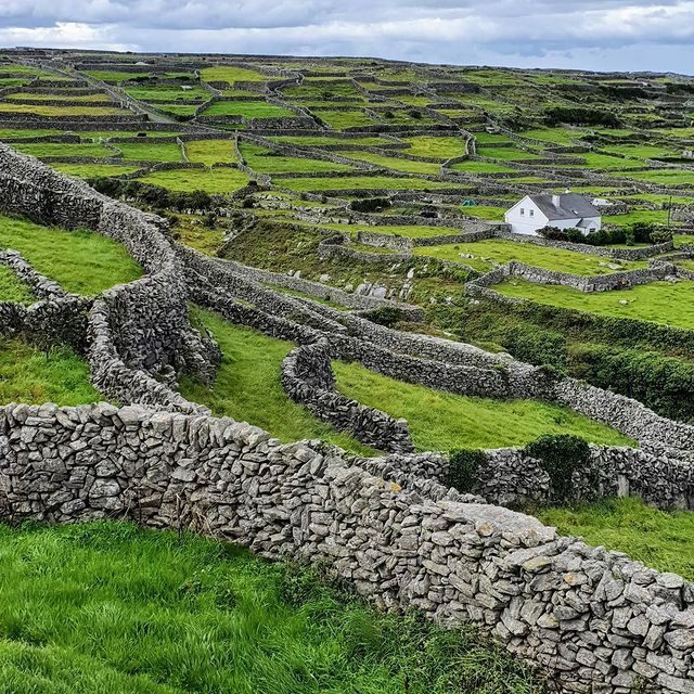 The Great Stone Walls Of Ireland