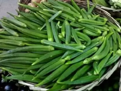 Health Benefits of Okra or Lady Finger