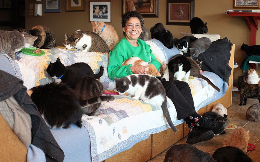 Crazy Cat Lady