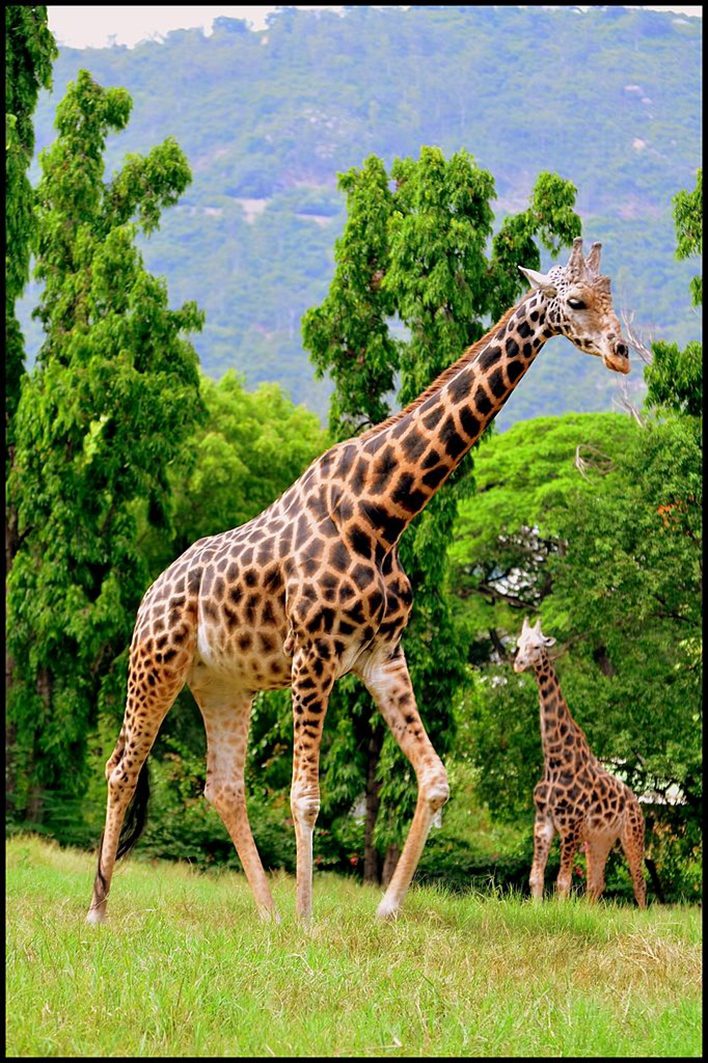 Best Zoos In India