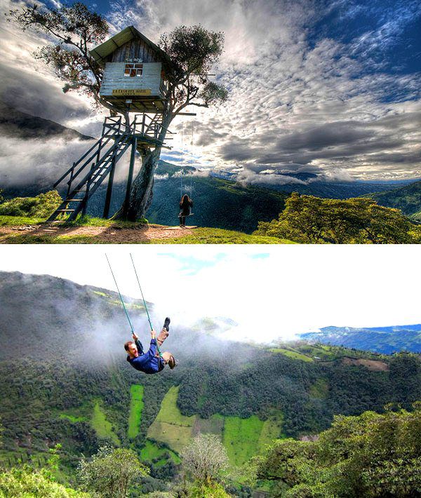 Amazing TreeHouses architecture around the world