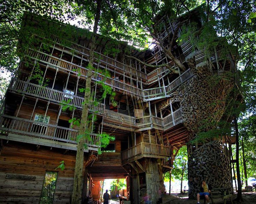 Amazing TreeHouses architecture around the world