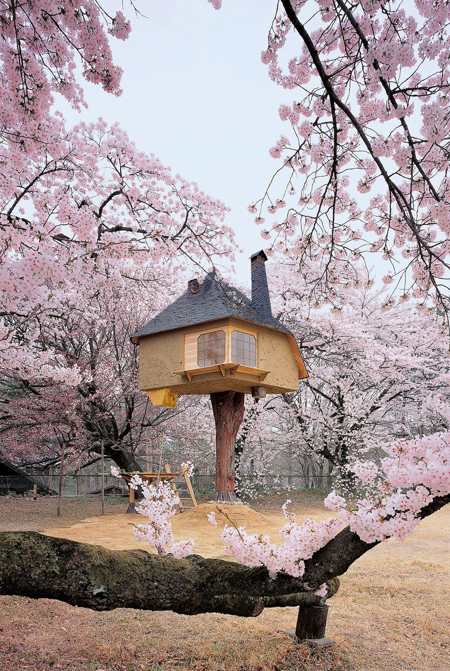 Amazing TreeHouses architecture around the world