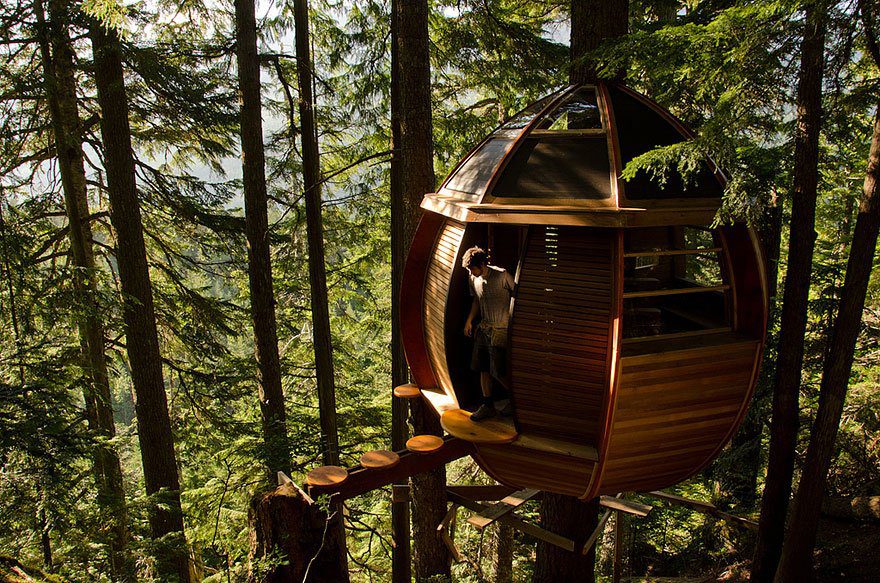 Amazing TreeHouses architecture around the world