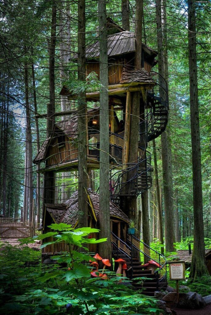 Amazing TreeHouses architecture around the world