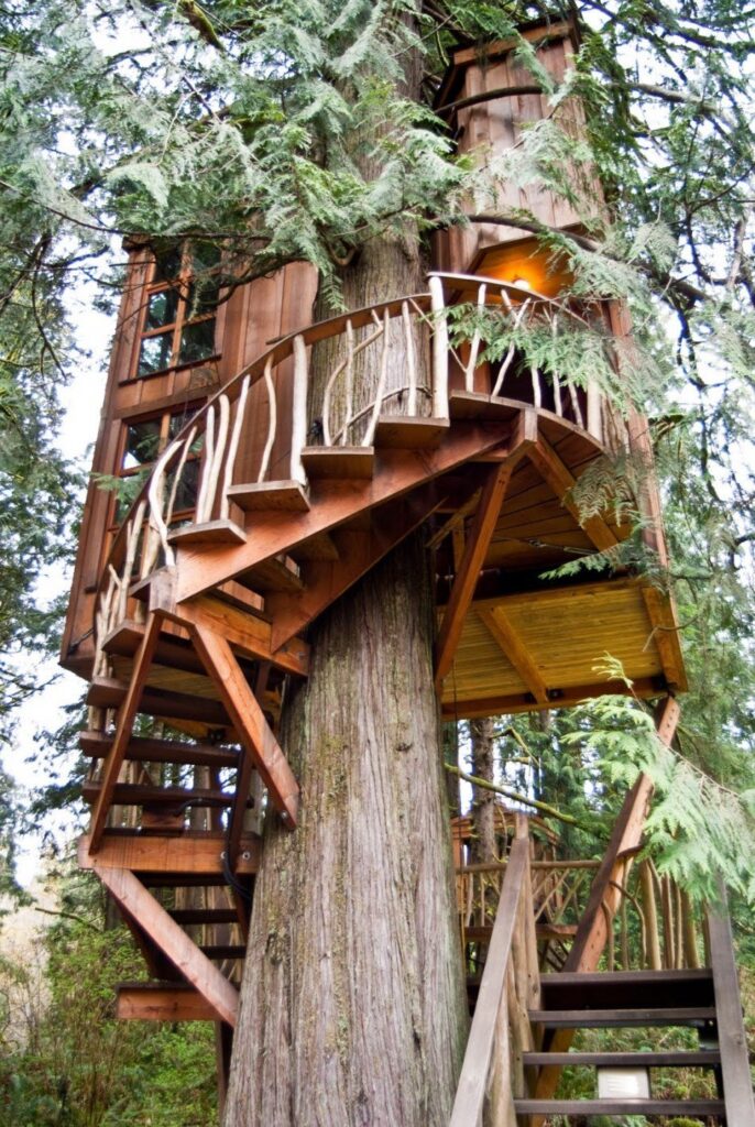 Amazing TreeHouses architecture around the world