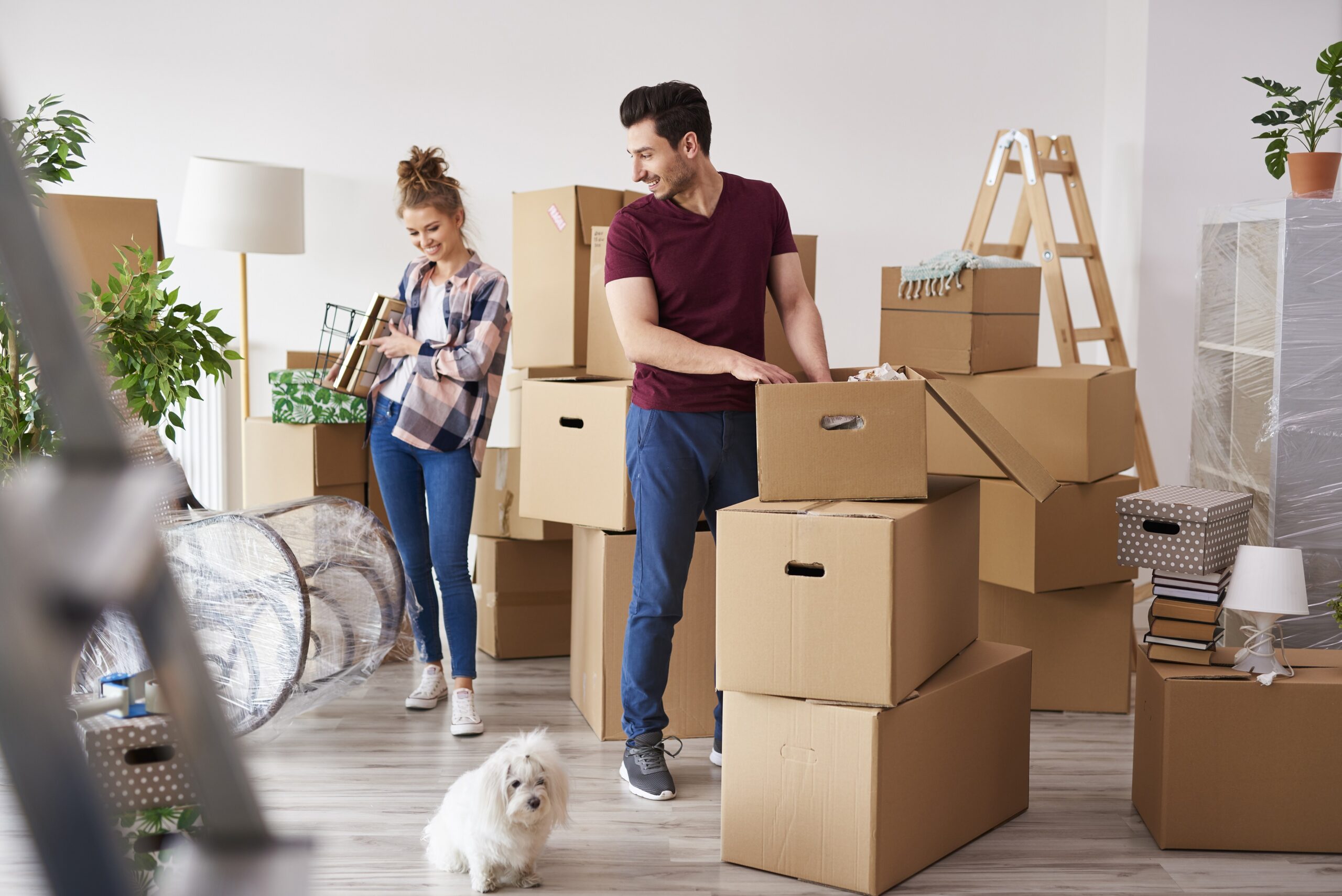 Top Tips to Prepare a New Home for a Move!