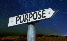 what is the life purpose