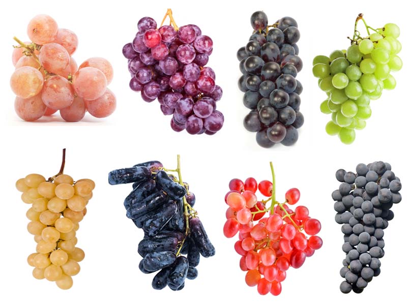 Health Benefits of Grapes