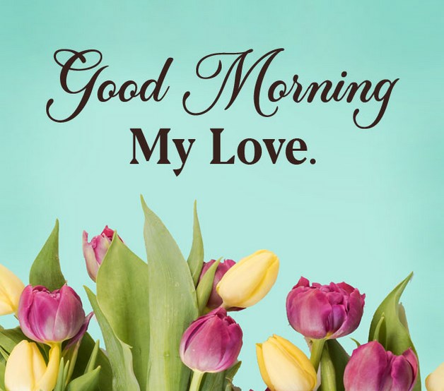 Best Good Morning Love Messages For Your Loved Ones