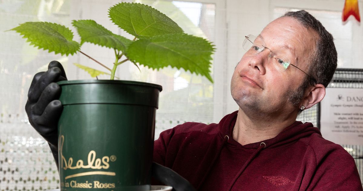 Man Grows Worlds Most Dangerous Plant At Home