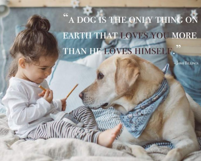 dog quotes about love