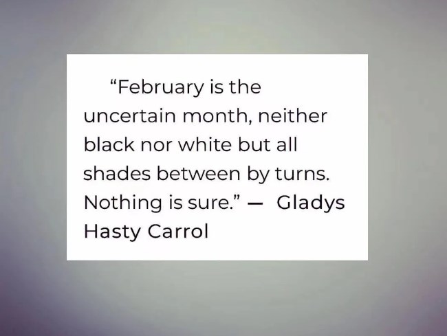 happy february quotes