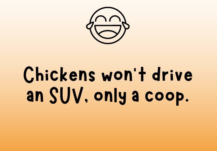 funny chicken puns