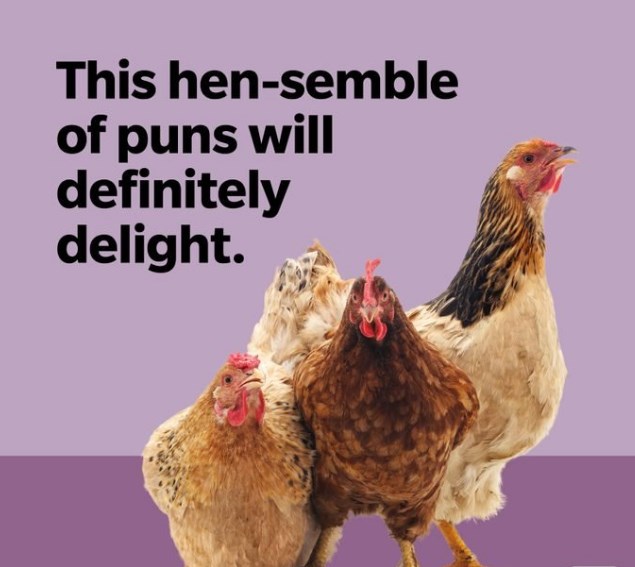 funny chicken puns