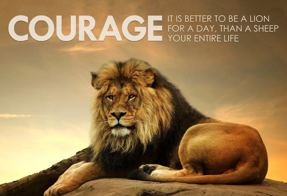 thoughts on courage