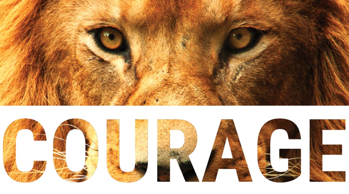 courage-quotes-that-will-help-you-to-make-your-dreams-real