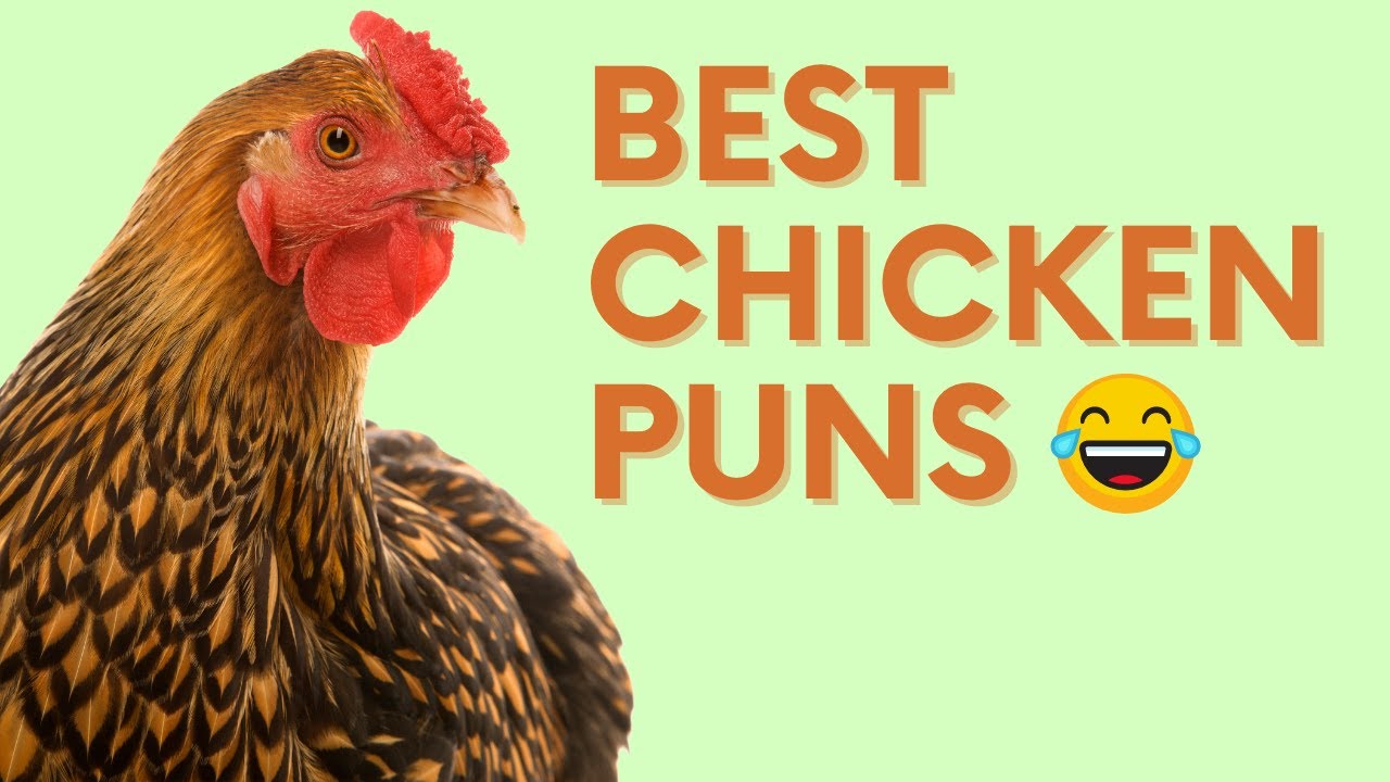 puns about chicken
