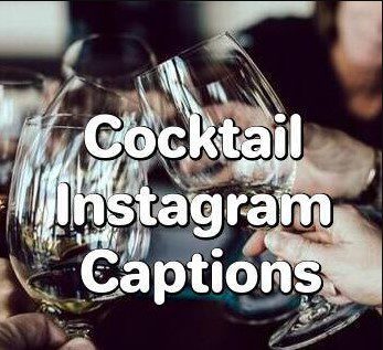 cocktail captions for instagram
