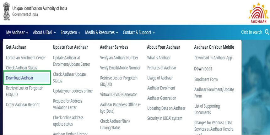 Blue Aadhaar Guide: Everything You Need to Know